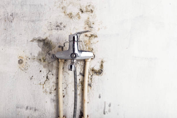 Best Emergency Mold Removal  in Enon, VA