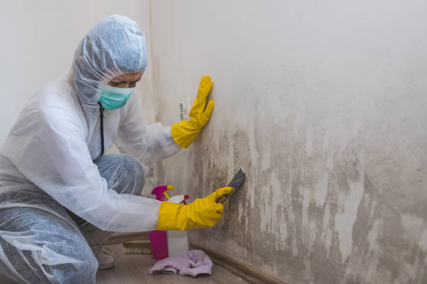 Best Mold Cleaning Services  in Enon, VA