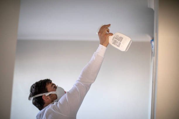 Best Same-Day Mold Removal  in Enon, VA
